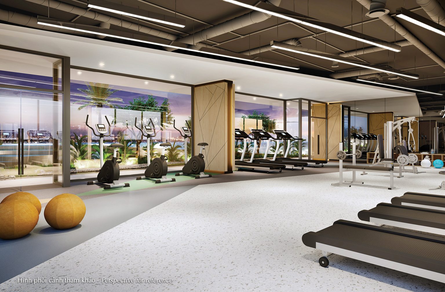 Tiện ích phòng gym dự án ben hill thuận an